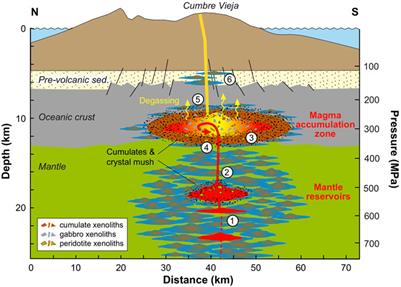 Mantle and Crustal Xenoliths in a Tephriphonolite From La Palma (Canary Islands): Implications for Phonolite Formation at Oceanic Island Volcanoes